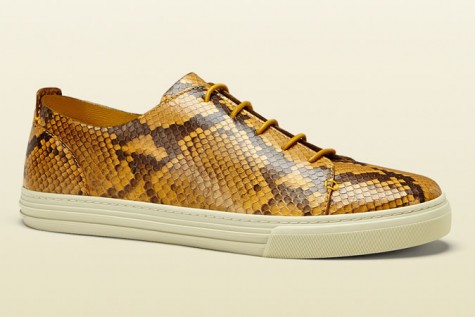 Giày thể thao nam đẹp Gucci Python