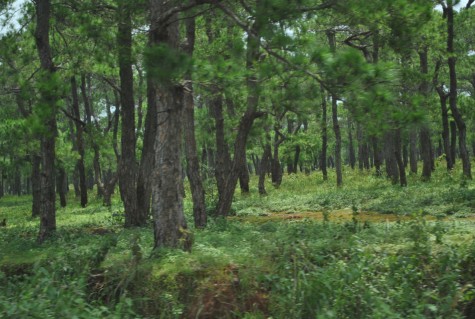 du lịch phượt hà giang