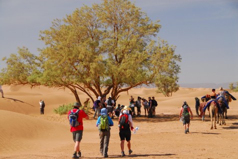 dia diem du lich trekking in sahara