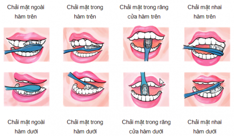 Hướng dẫn chi tiết phương pháp đánh răng