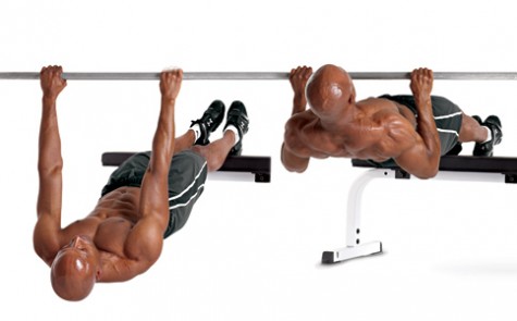 elevated-inverted-row