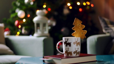 Bài hát lấy cảm hứng từ câu chuyện về Rudolph, chú tuần lộc thứ 9 của ông già Noel.