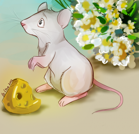 những quyển sách hay