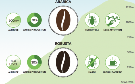 hương cà phê - arabica & robusta - elle man