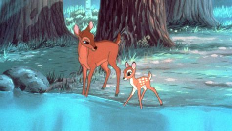 phim danh cho ngay cua Me - bambi - elle man