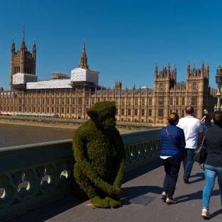 The Body Shop - Cây cầu sinh học tại nước Anh mùa Hè này