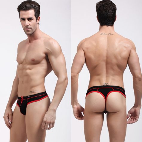 Brand-New-Cheap-Price-Low-waist-Mens-sheer-underwear-Mens-briefs-Sexy-mens-pouch-penis-underwear