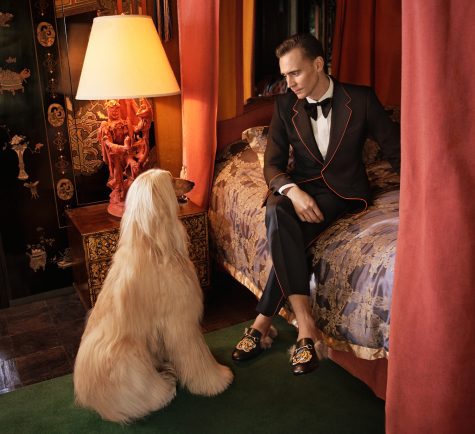 Tuy hụt mất hợp đồng quảng cáo với Armani, Tom Hiddleston là sự lựa chọn hoàn hảo cho những thiết kế suits của Gucci