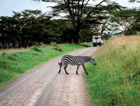 du-lich-kenya-dong-phi-luot-ngoai-cua-so-15