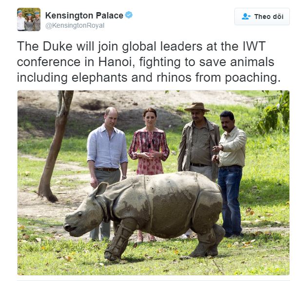 Thông báo của Twitter điện Kenshington rằng Hoàng tử sẽ đến Việt Nam trong khuôn khổ Hội nghị vấn đề buôn bán động vật hoang dã được đăng vào ngày thứ Ba 15/11/2016.