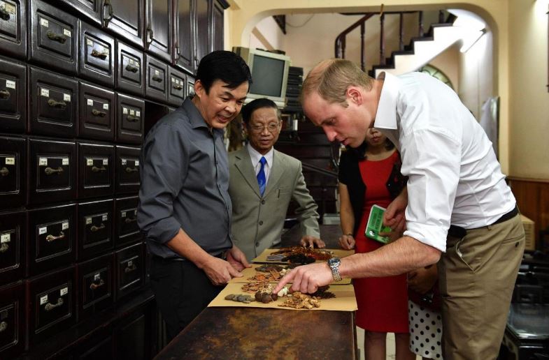 Hoàng tử William trong tiệm thuốc cổ truyển.