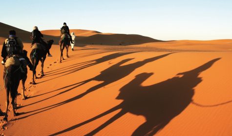 Ánh sáng ban mai rực rỡ của Sahara