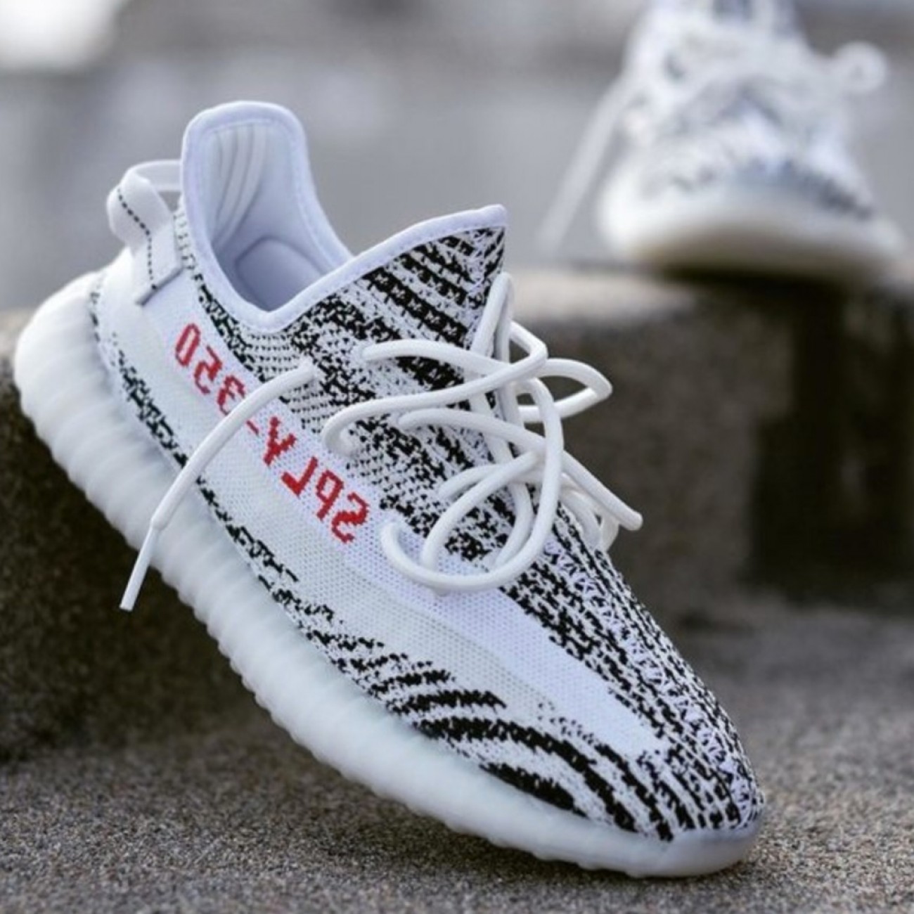 zebra yeezys retail