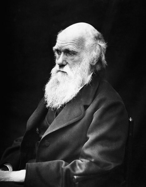 nguoi noi tieng - Charles Darwin - elle man