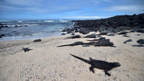 Quần đảo Galápagos