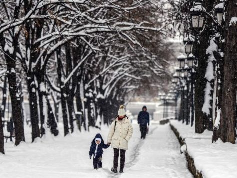 Khách du lịch Châu Âu tản bộ dưới hàng cây đóng băng ở Macedonia