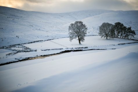 Một cánh đồng tuyết phủ kín ở Scotland