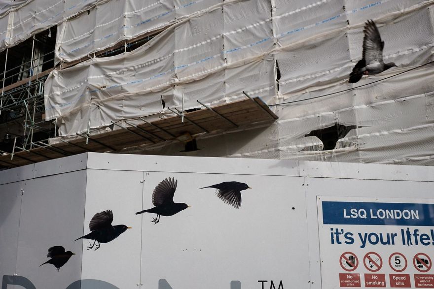 những bức ảnh đường phố 1 -elleman