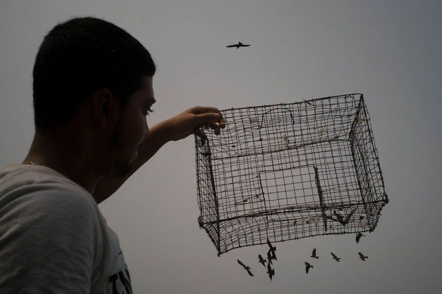 những bức ảnh đường phố 19 -elleman