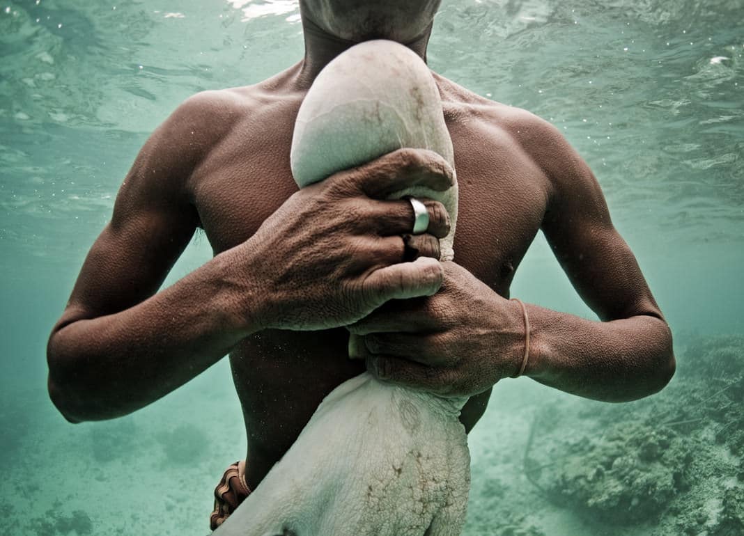 bộ ảnh đẹp du mục biển 14a - elleman