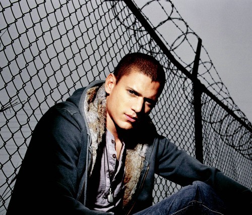 Nam diễn viên Wentworth Miller