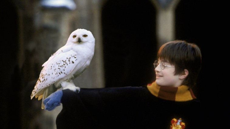 truyện Harry Potter với những điều vô lý - elleman 4