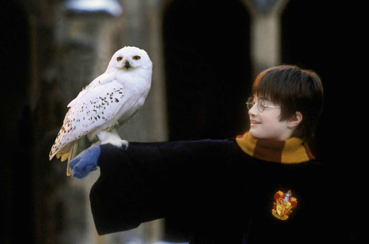 truyện Harry Potter với những điều vô lý - elleman 4