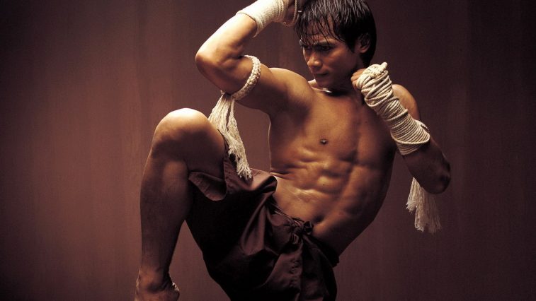 nam loi ich cua viec tap vo muay thai - elleman 1