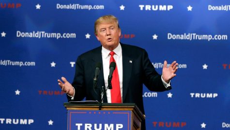 donald trump - elle man 1