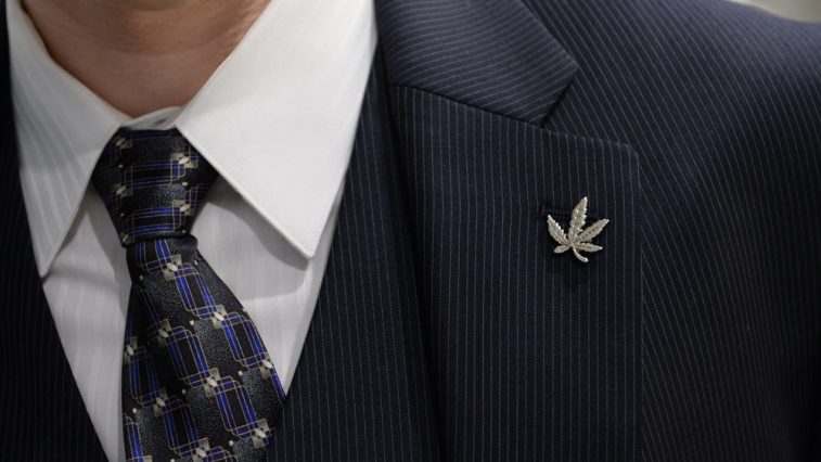 xu hướng thời trang cannabis