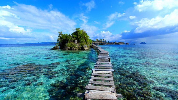Togean _ Featured Image