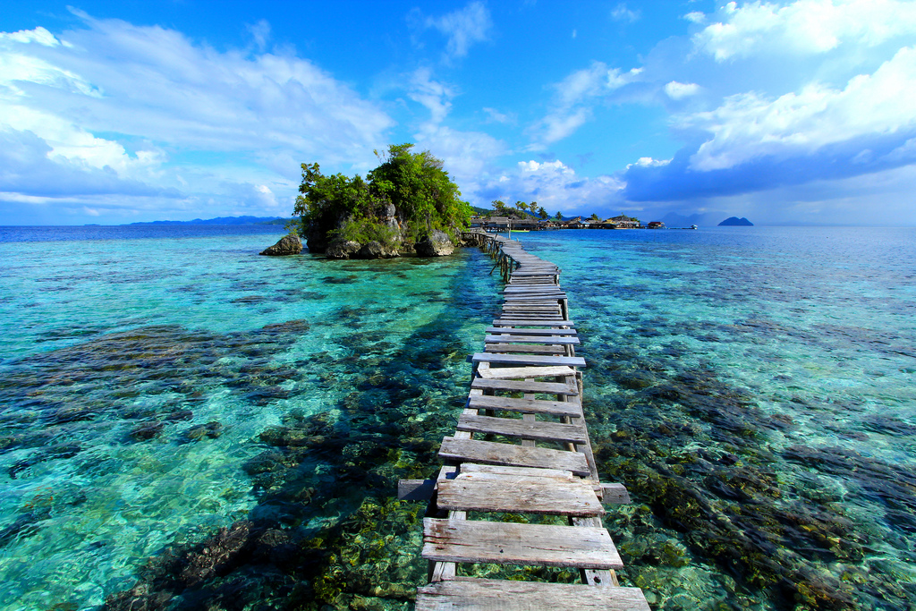Togean _ Featured Image