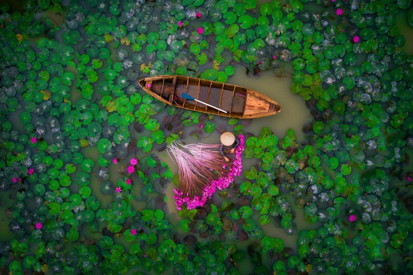 Drone Photography - elle man5