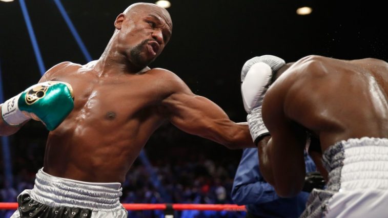 floyd mayweather