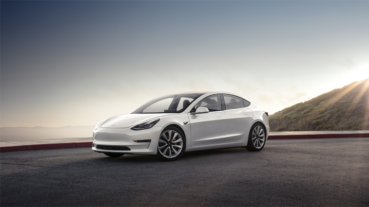 xe tesla elle man 3