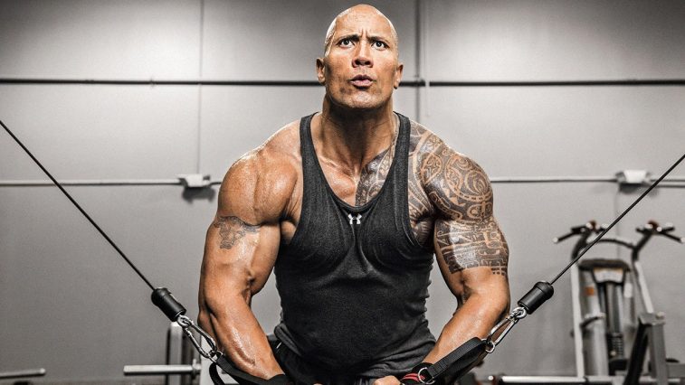 the rock - elle man 8