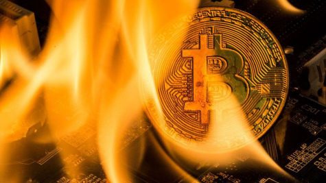 đồng tiền bitcoin - elle man feature