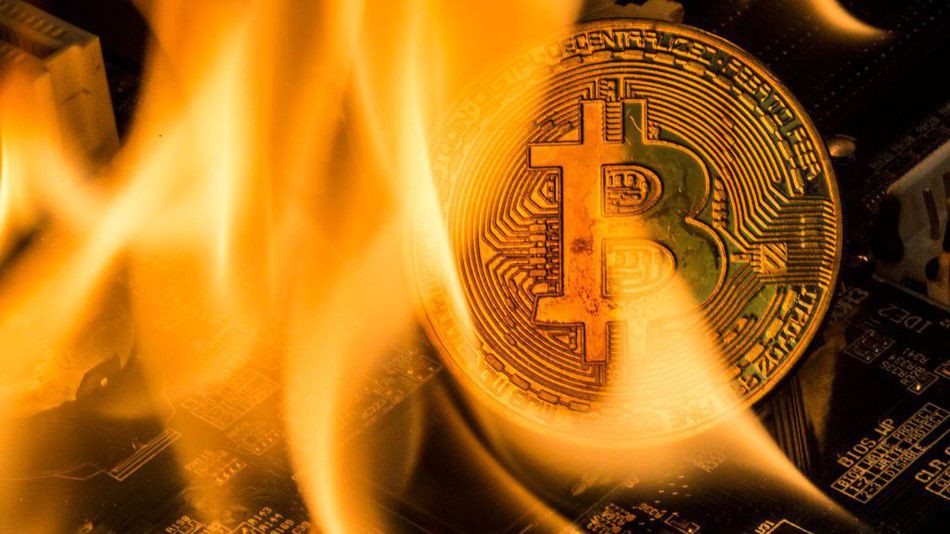 đồng tiền bitcoin - elle man feature