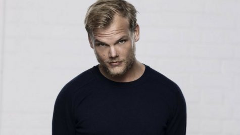 DJ Avicii - elle man feature