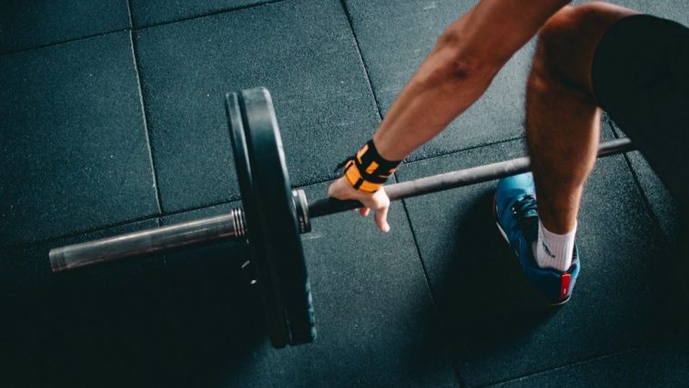 Một bài tập Squat vận hành như thế nào?