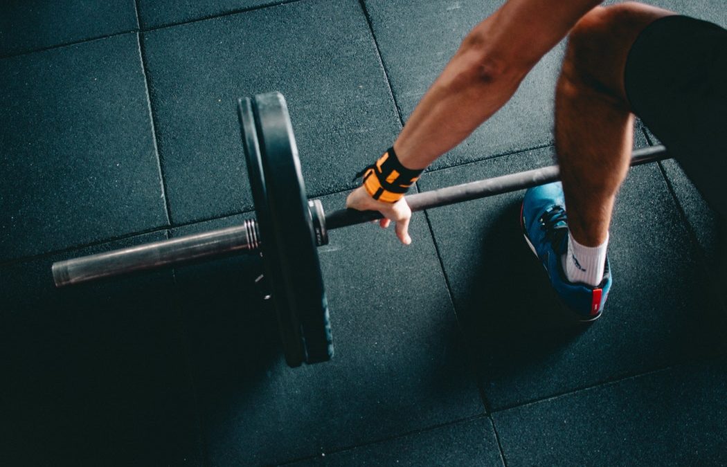 Một bài tập Squat vận hành như thế nào?