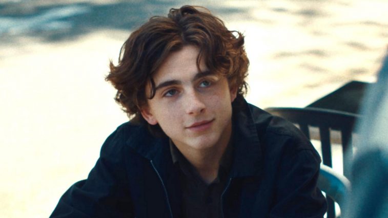 Timothee Chalamet - elle man feature