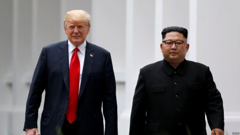 tong thong donald trump - elle man 1