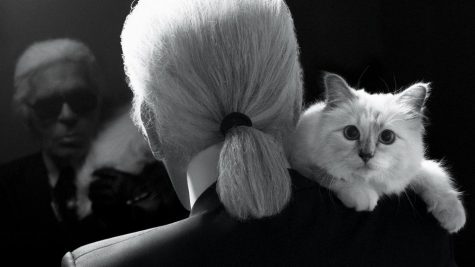 Karl Lagerfeld - ELLE Man -1