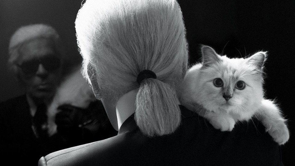 karl lagerfeld & choupette - elle man feature