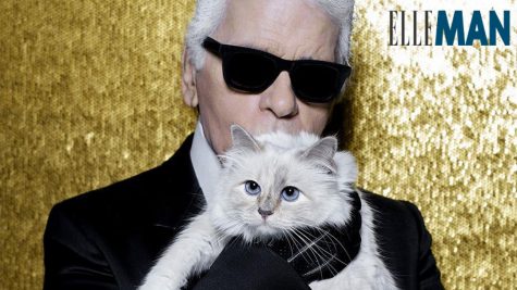 nha thiet ke karl lagerfeld - elle man - choupette feature