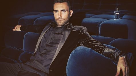 ca si Adam Levine grooming elle man feature