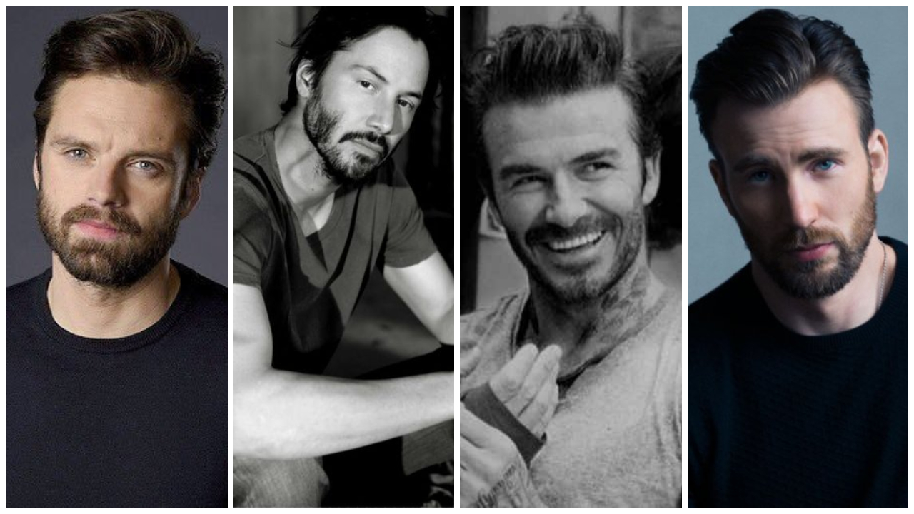 Hình dáng khuôn mặt của Sebastian Stan-Keanu Reeves-David Beckham-Chris Evans và kiểu râu phù hợp
