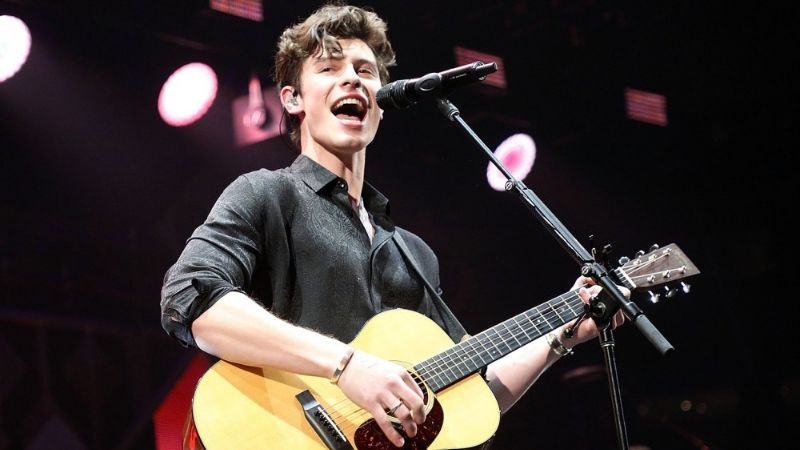 sinh nhat shawn mendes - elle man feature