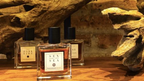 bìa viinriic niche perfume